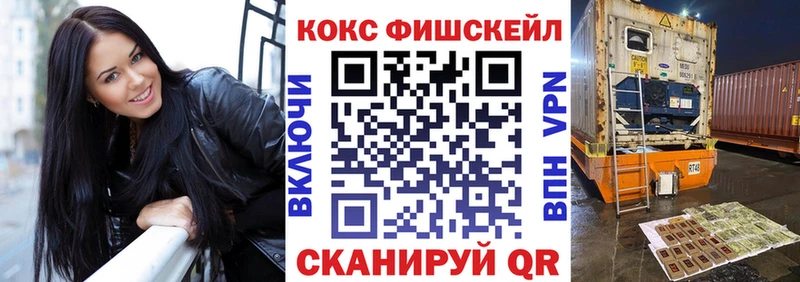 Купить закладки  Выборг  Cocaine FishScale 