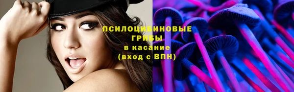 Альфа ПВП Верхний Тагил