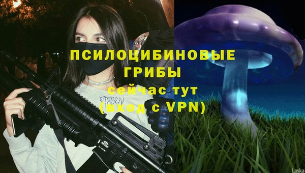Альфа ПВП Верхний Тагил