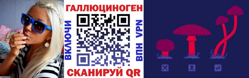 Купить  Выборг  Псилоцибиновые грибы Magic Shrooms 