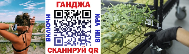 Каннабис планчик  Купить  Выборг 